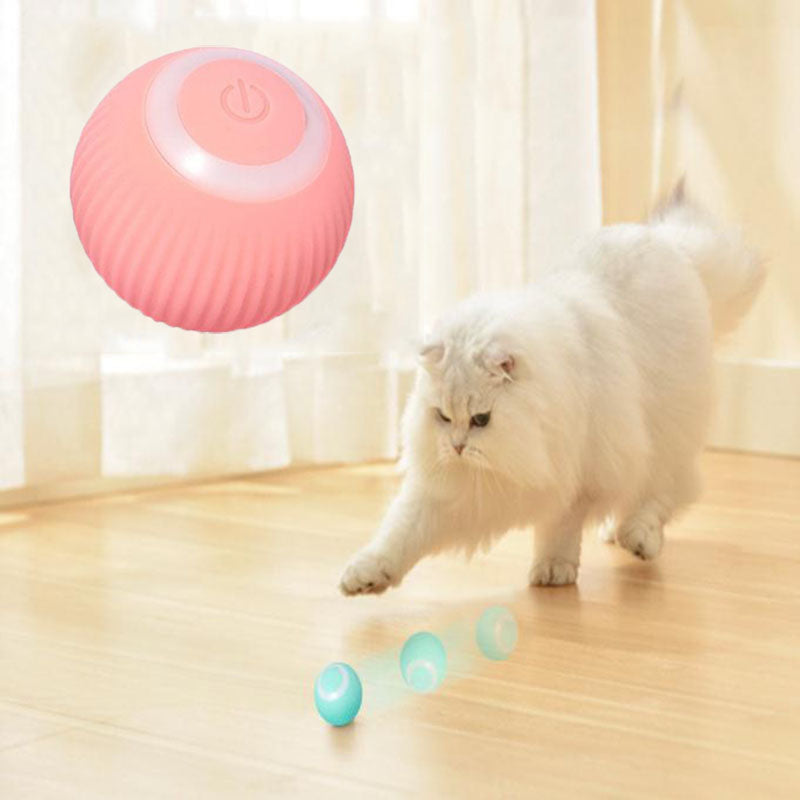 Moving Cat Toy Ball — product view 5