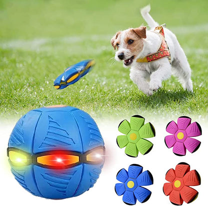 Transforming Dog Ball and Frisbee — product view 7