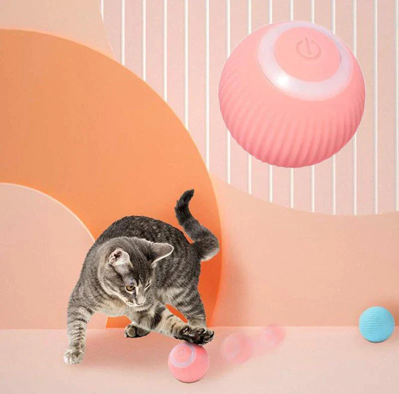 Moving Cat Toy Ball — product view 3