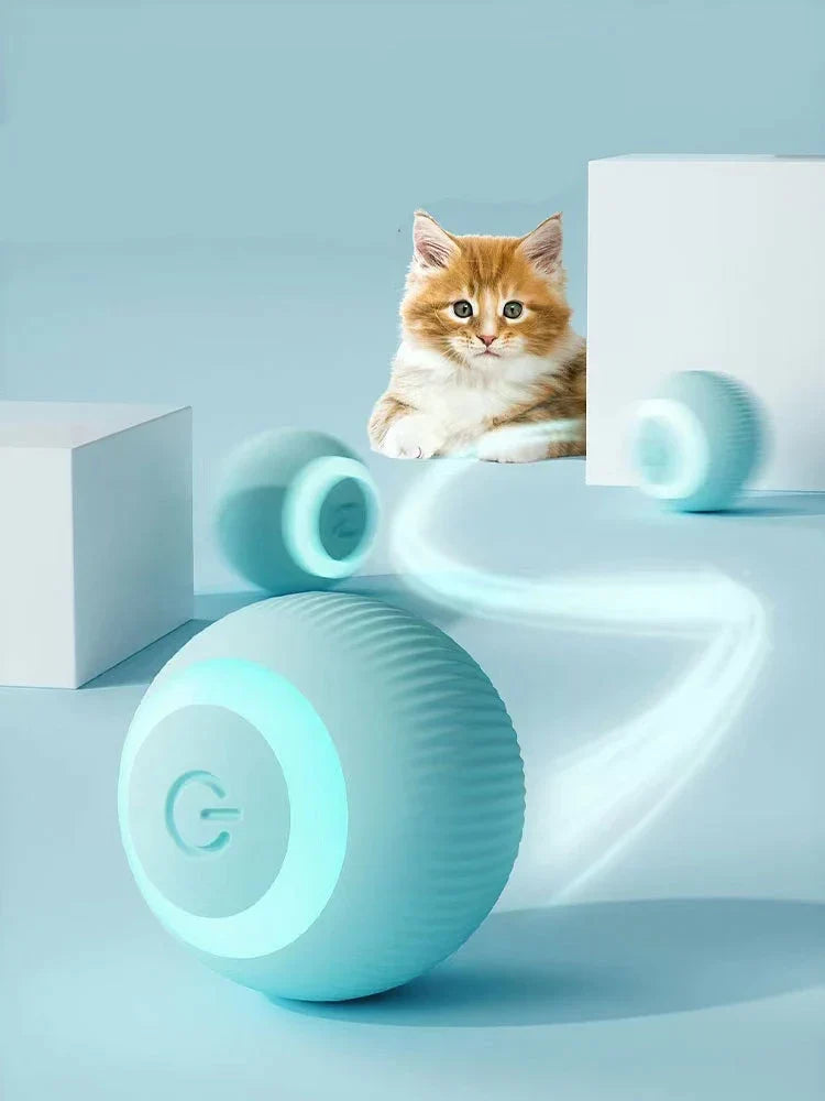 Moving Cat Toy Ball — product view 1